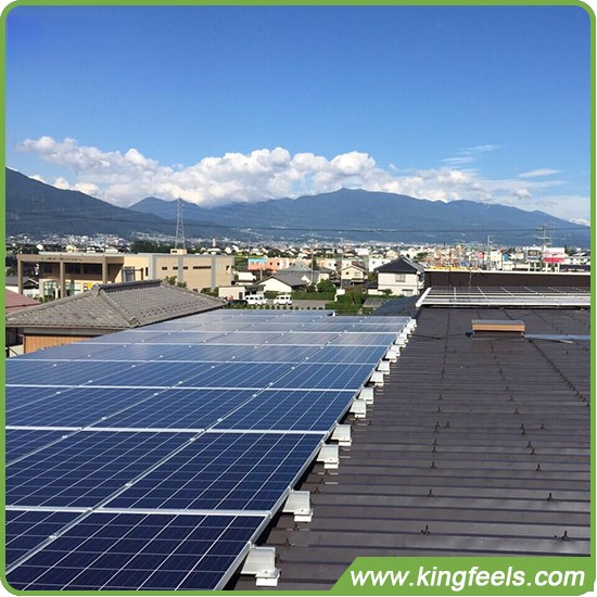 オランダでコミュニティ太陽光発電プロジェクトが成長中