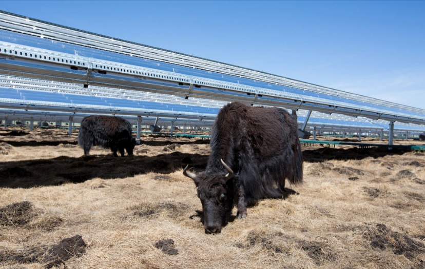 アップル、中国で太陽光発電を建設するために3億ドルの基金を創設